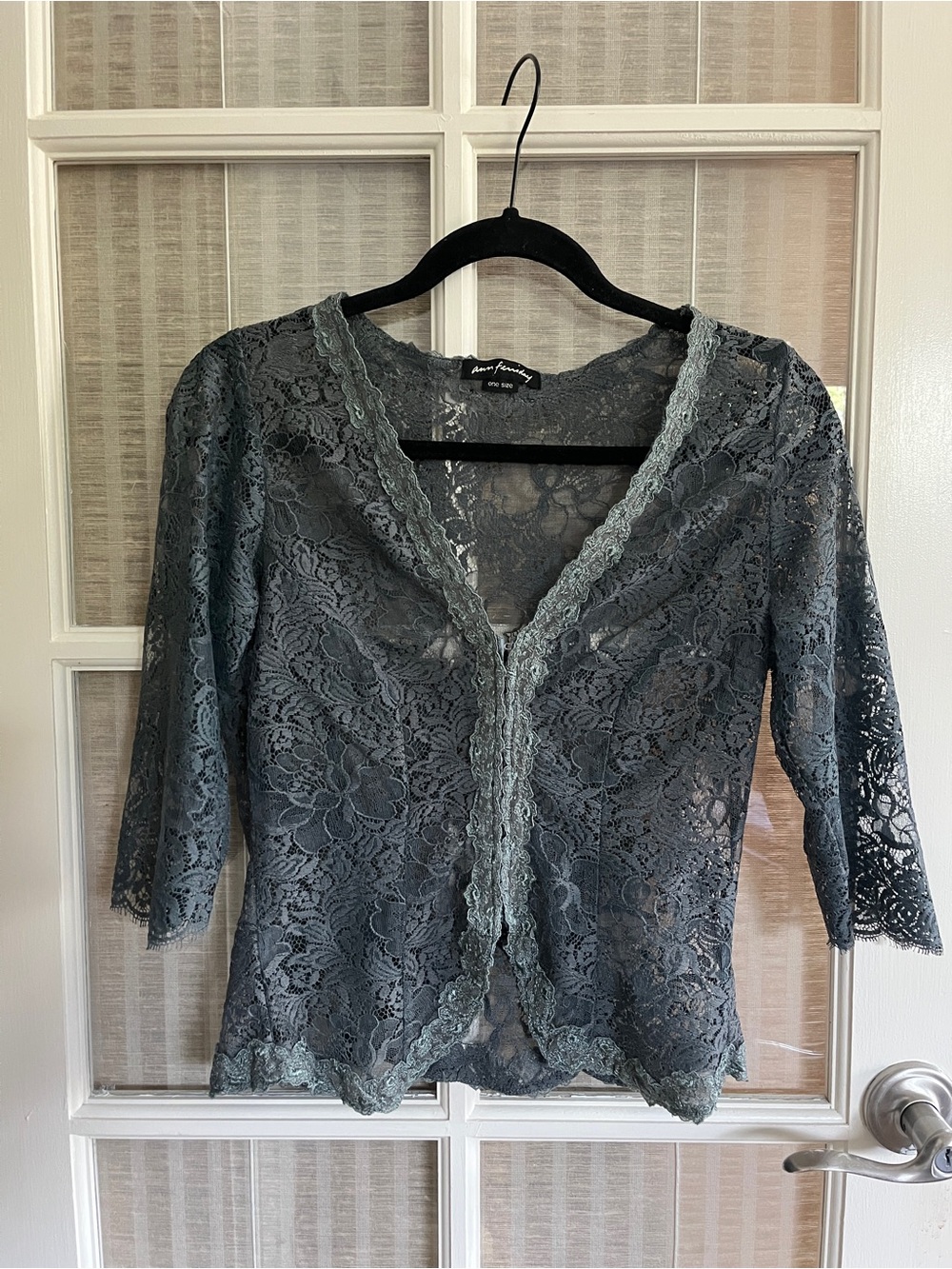 Ann Ferriday Sheer Lace V-Neck Top